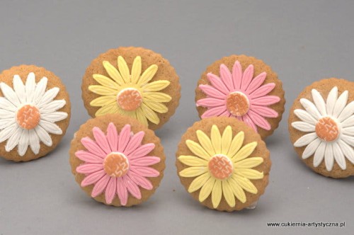 Ciastko Gerbera